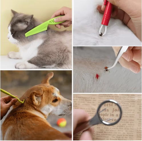 Pet First Aid Travel Bag — Be Prepared for Every Adventure
