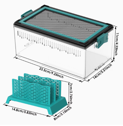 Crested Gecko Live Feeding Kit for Small Reptile Terrariums