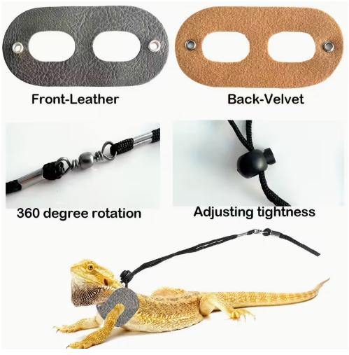 Beardie Explorer Bubble Backpack — Reptile Outdoor Carrier with Harness & Leash Set