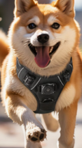 No-Pull Dog Harness with AirTag Holder — Reflective, Choke-Free for Small to Large Dogs