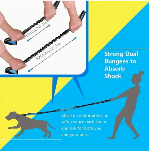 Hands-Free Dual Dog Running Leash — Adjustable with Shock Absorption