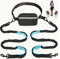Hands-Free Dual Dog Running Leash — Adjustable with Shock Absorption
