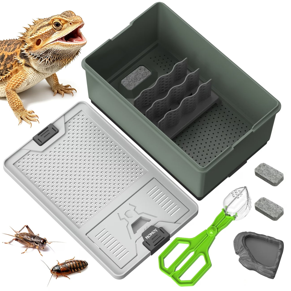 Crested Gecko Live Feeding Kit for Small Reptile Terrariums
