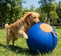 Anti-Burst Dog Ball — Self-Entertaining Outdoor Play