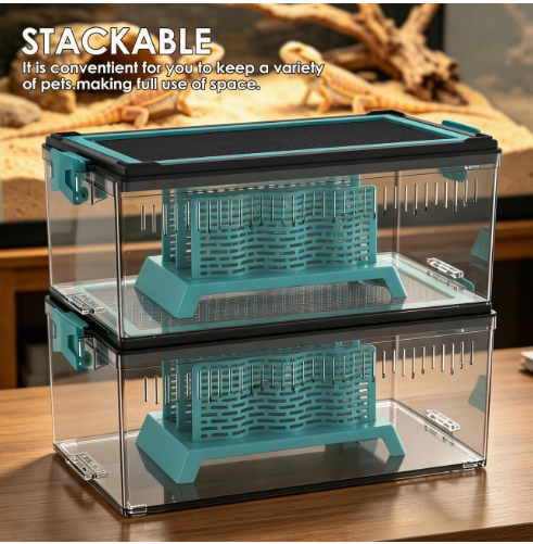 Crested Gecko Live Feeding Kit for Small Reptile Terrariums